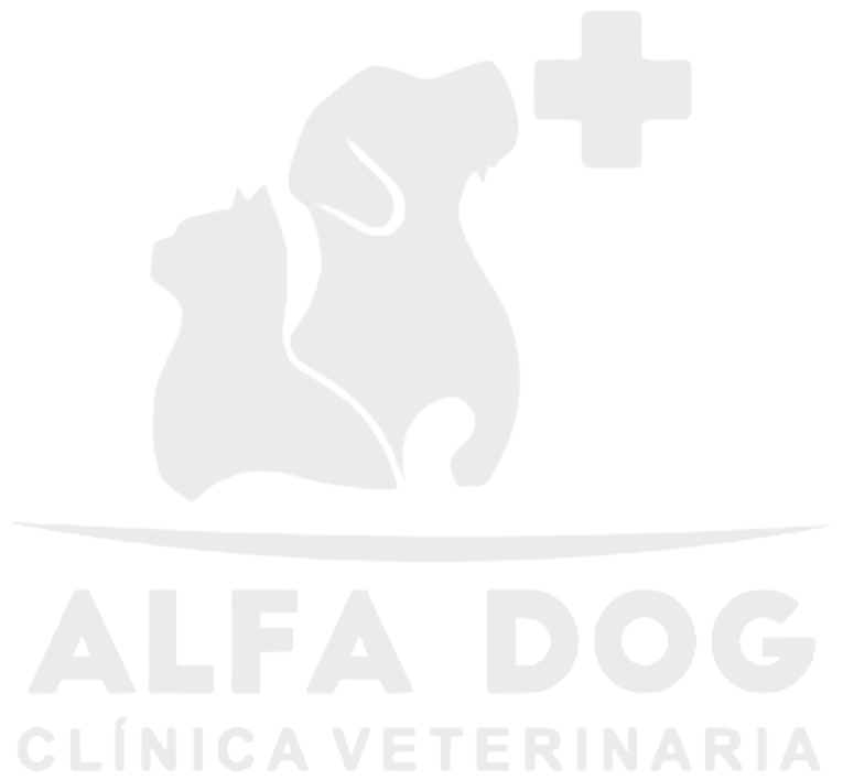 Alfa Dog